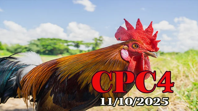 Xem Lại Clip Đá Gà Thomo CPC4 Hôm Nay 11/10/2025